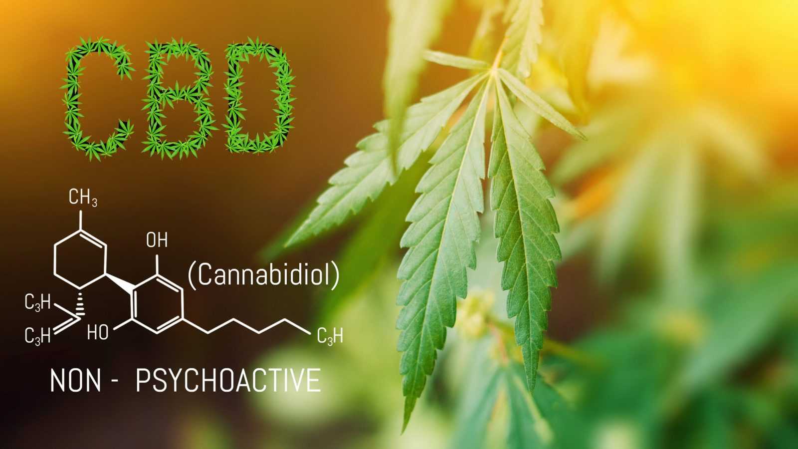 CBD Cannabidiol Chemical formula, Beautiful background of green