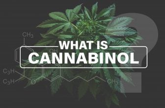 full spectrum cbd oil