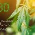 CBD & Anti-Aging