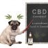 Does CBD Oil Help Treat Arthritis Pain?