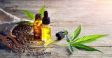 What is the difference between hemp and CBD oil?